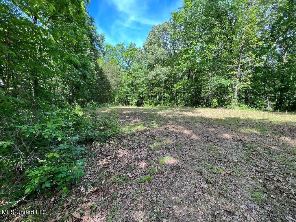 10 Kennedy Road Lamar, MS 38642 - Photo 6 of 12 05