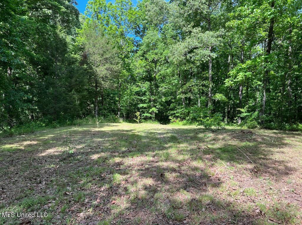 10 Kennedy Road Lamar, MS 38642 - Photo 7 of 12 06