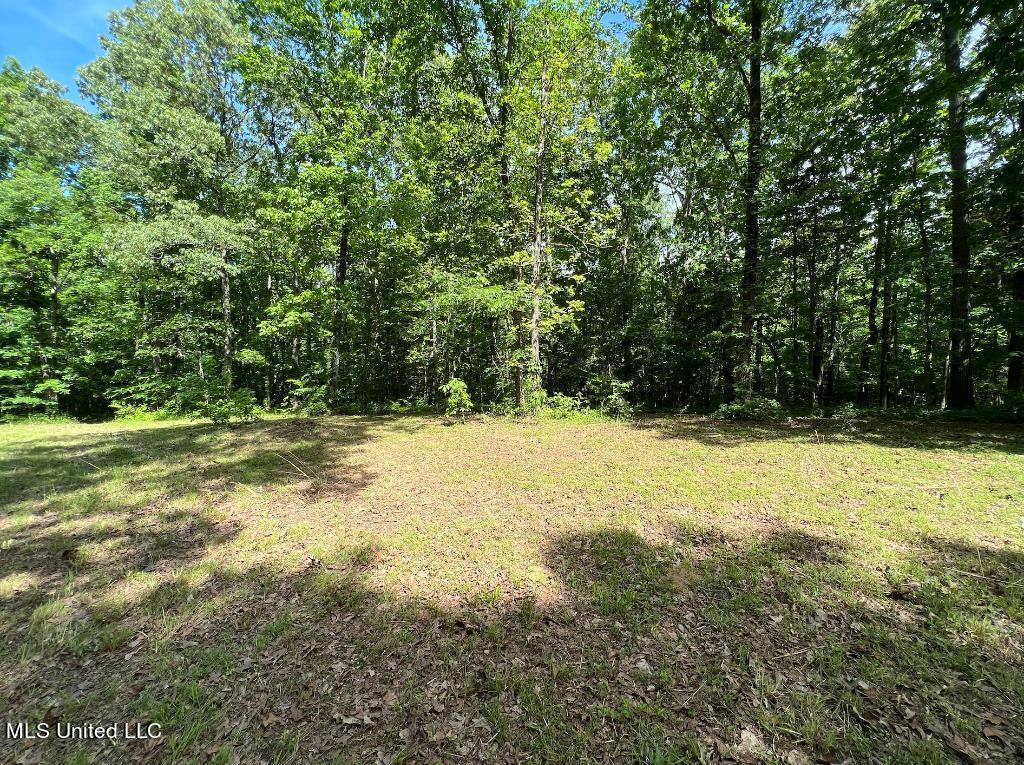 10 Kennedy Road Lamar, MS 38642 - Photo 8 of 12 07
