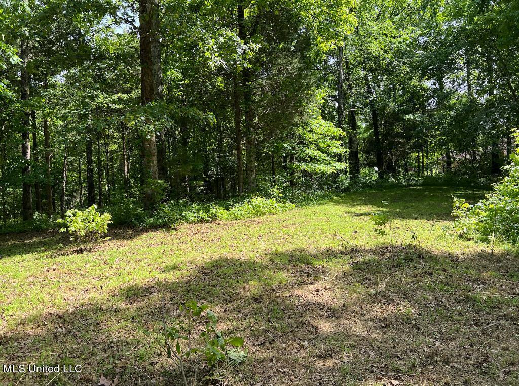 10 Kennedy Road Lamar, MS 38642 - Photo 9 of 12 08