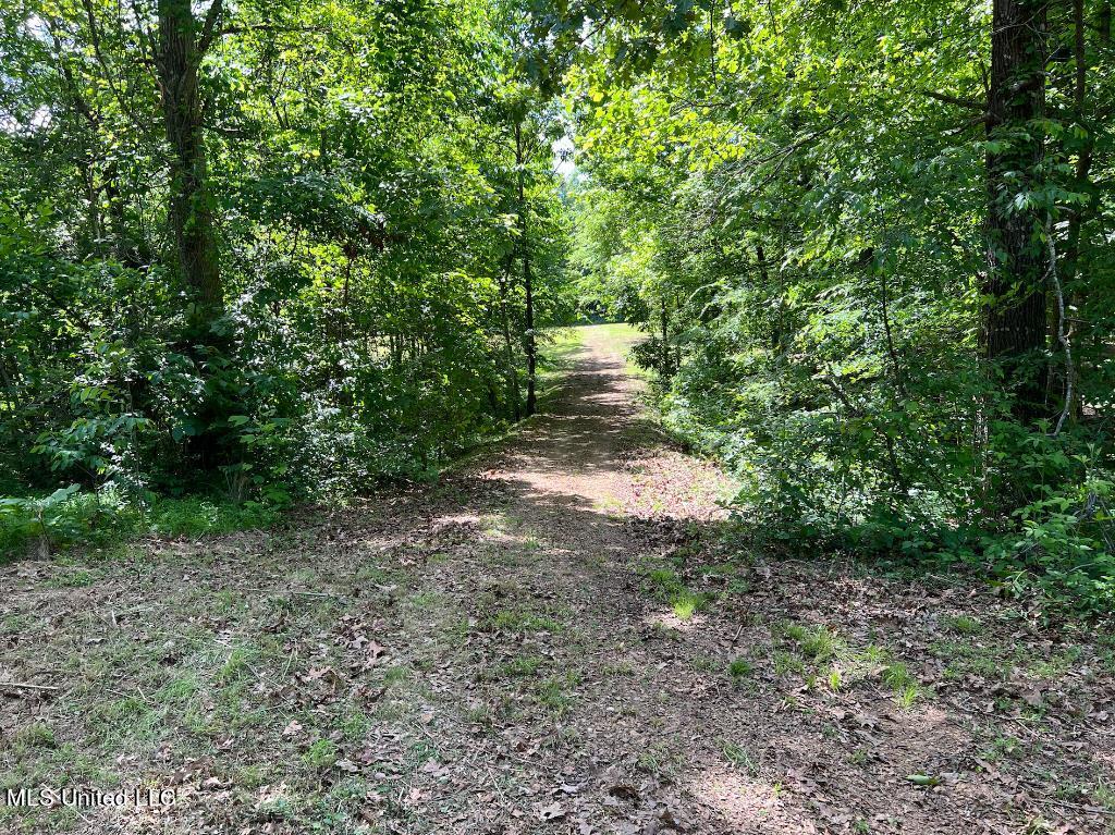 10 Kennedy Road Lamar, MS 38642 - Photo 10 of 12 09