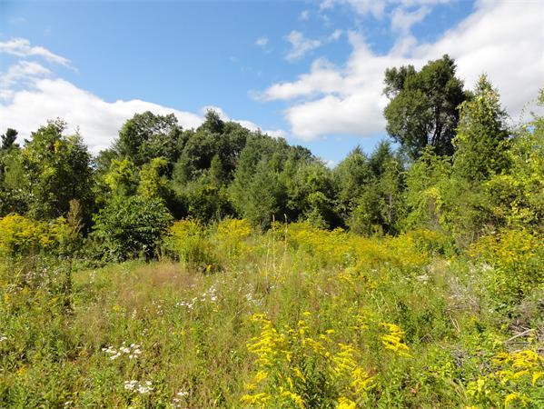 152 Spectacle Pond Road Littleton, MA 01460 - Photo 3 of 9 Gallery Image 3