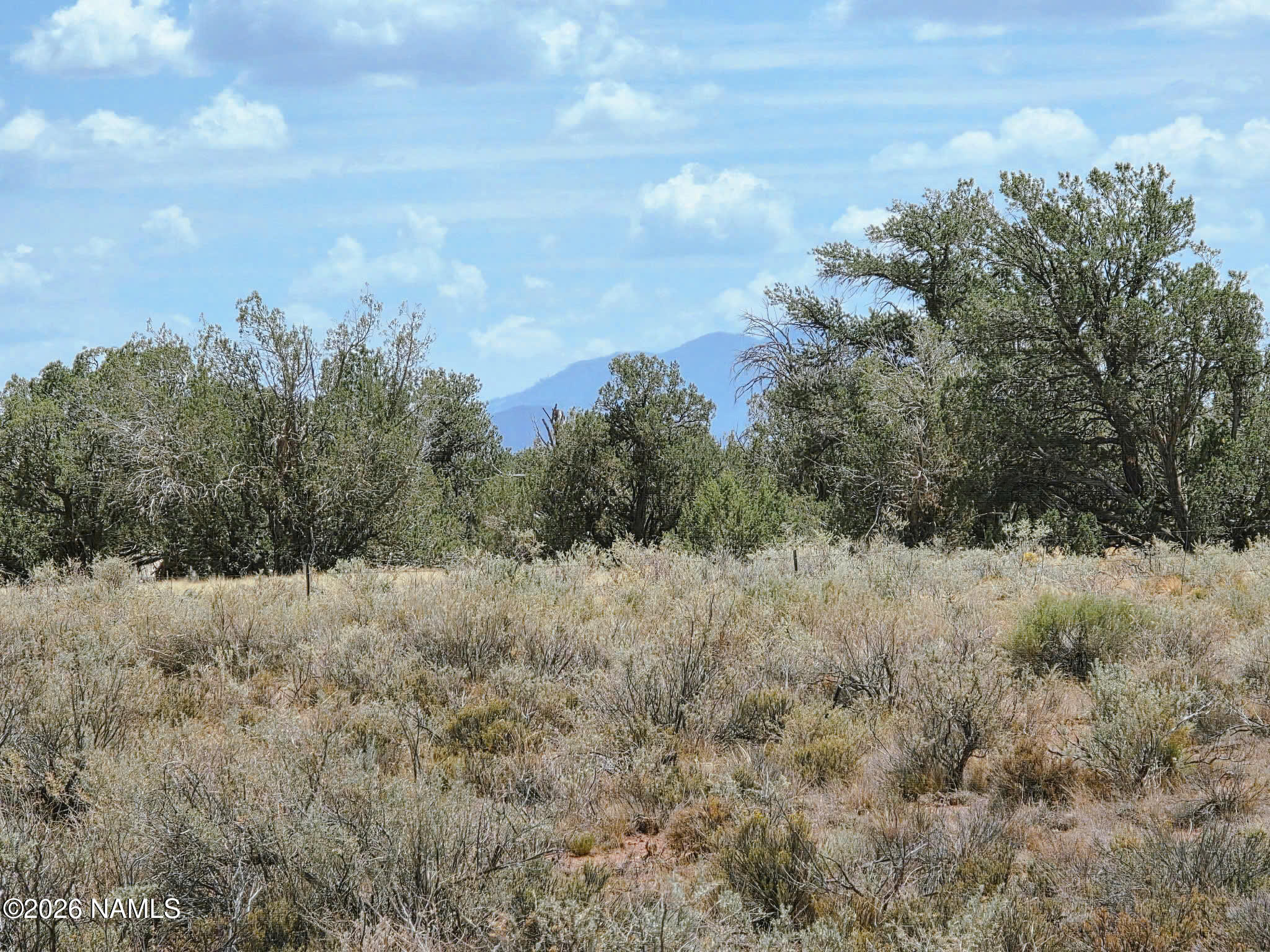 955 San Mateo Road Williams, AZ 86046 - Photo 17 of 23 19