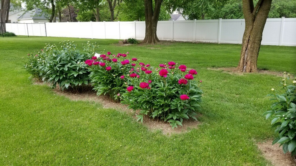 24711 West Bluff Road Channahon, IL 60410 - Photo 45 of 46 Gallery Image 45