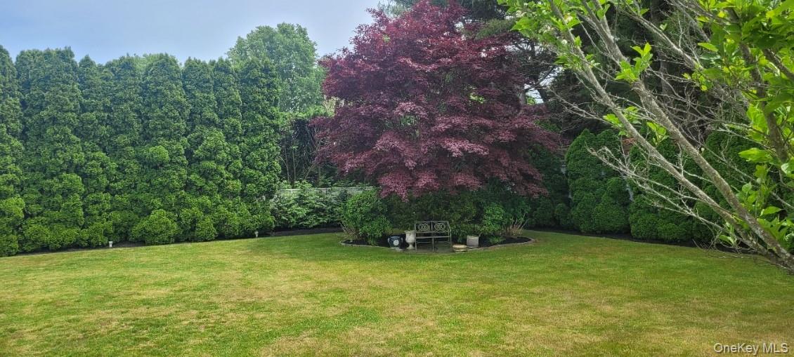 312 Riley Avenue Calverton, NY 11933 - Photo 29 of 30 Expansive lawn bordered by mature evergreen trees