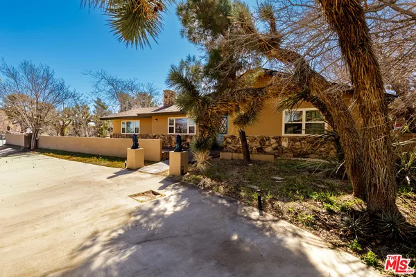 a view of a yard with a tree