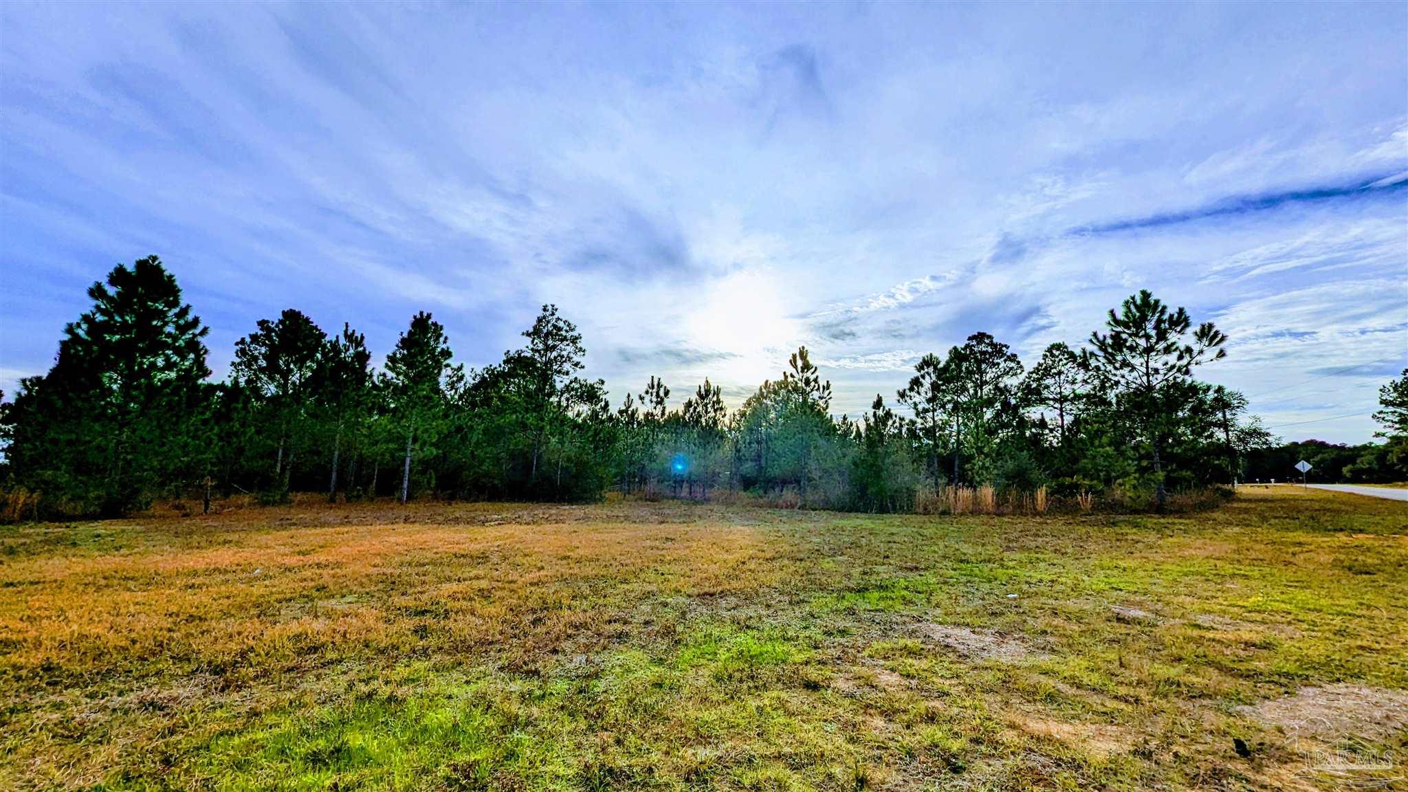 0 Royal Lane, Unit LOT 1 Elberta, AL 36530 - Photo 5 of 13