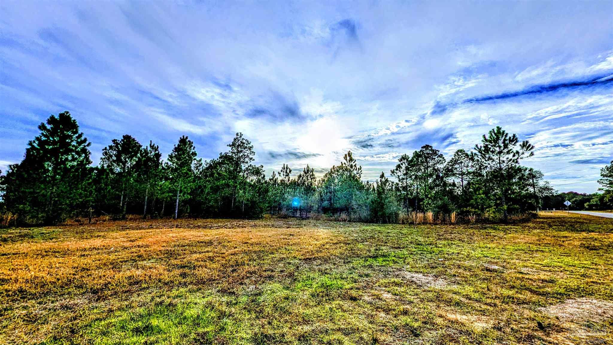 0 Royal Lane, Unit LOT 1 Elberta, AL 36530 - Photo 6 of 13