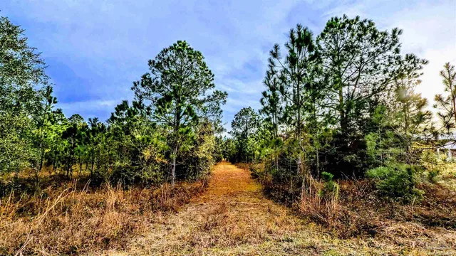a backyard of a house with lots of green space