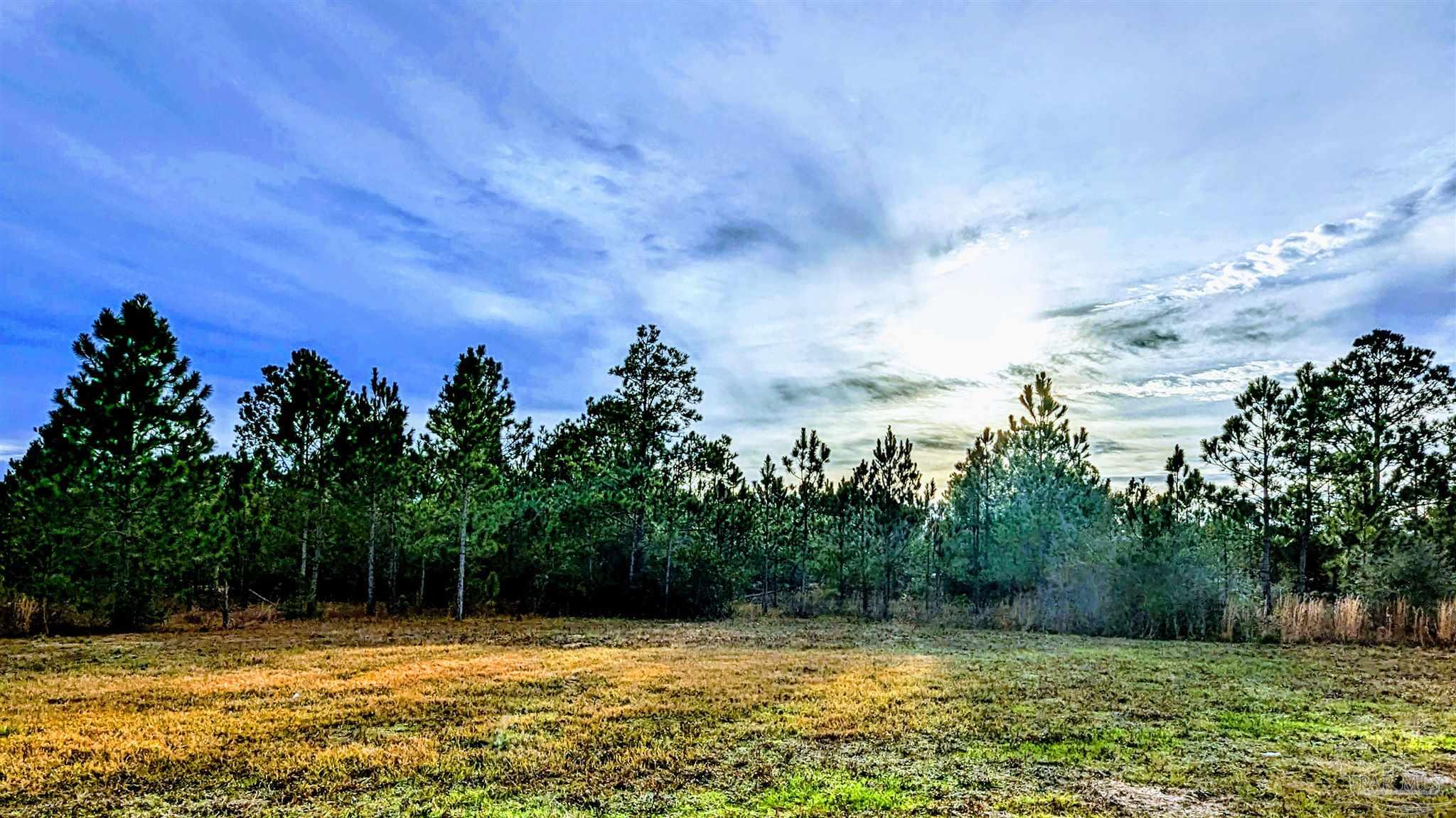 0 Royal Lane, Unit LOT 1 Elberta, AL 36530 - Photo 9 of 13