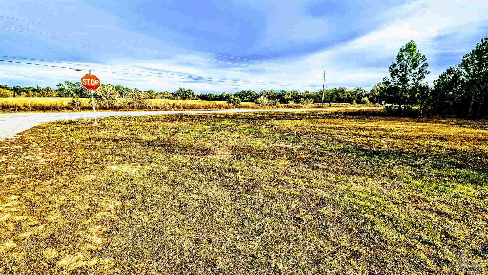 0 Royal Lane, Unit LOT 1 Elberta, AL 36530 - Photo 10 of 13