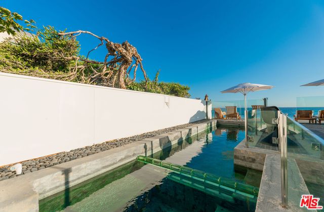 a view of a garden with plants