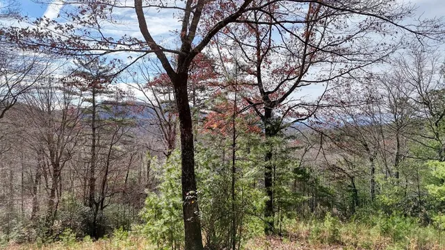 $93,100 | Lot 15 Moore Acres, Hayesville, NC 28904