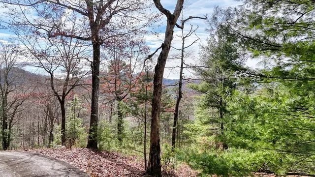 $93,100 | Lot 15 Moore Acres, Hayesville, NC 28904