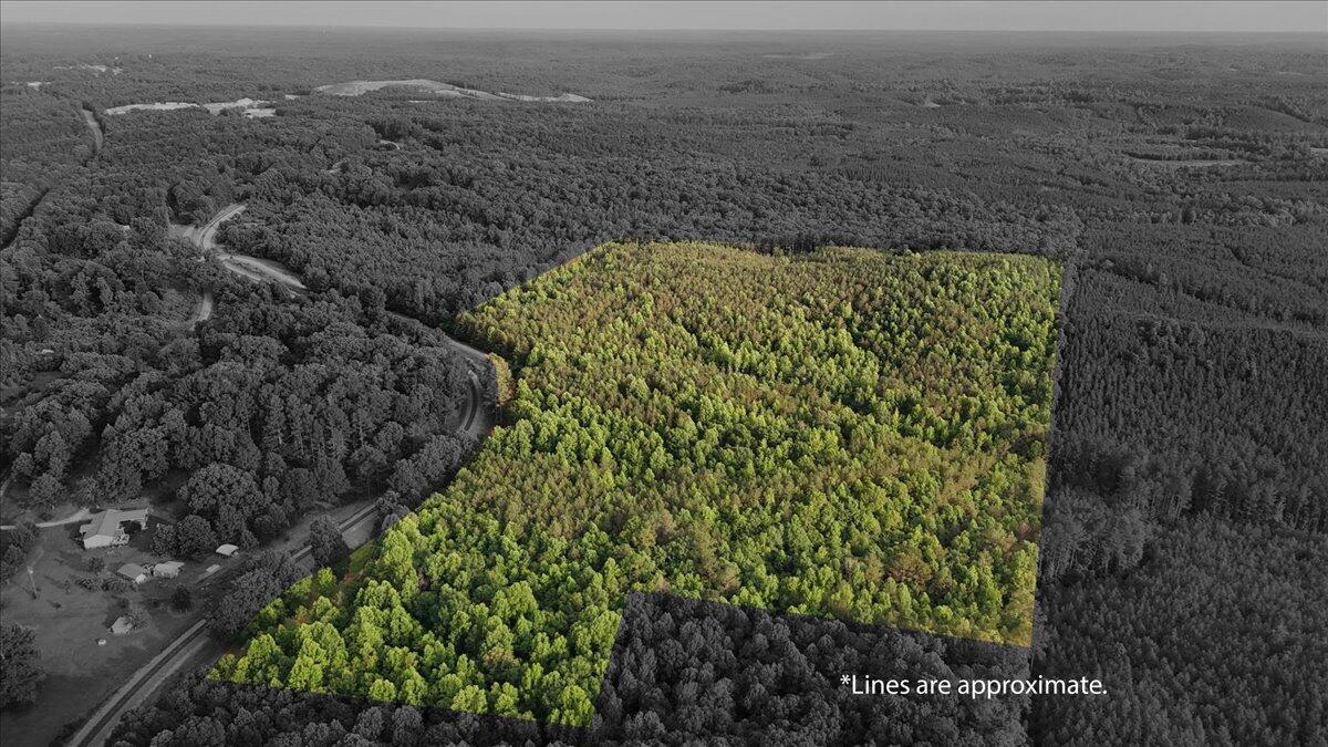 203 Tucker Road Lynn, AL 35575 - Photo 1 of 20 04-Tucker Rd-15