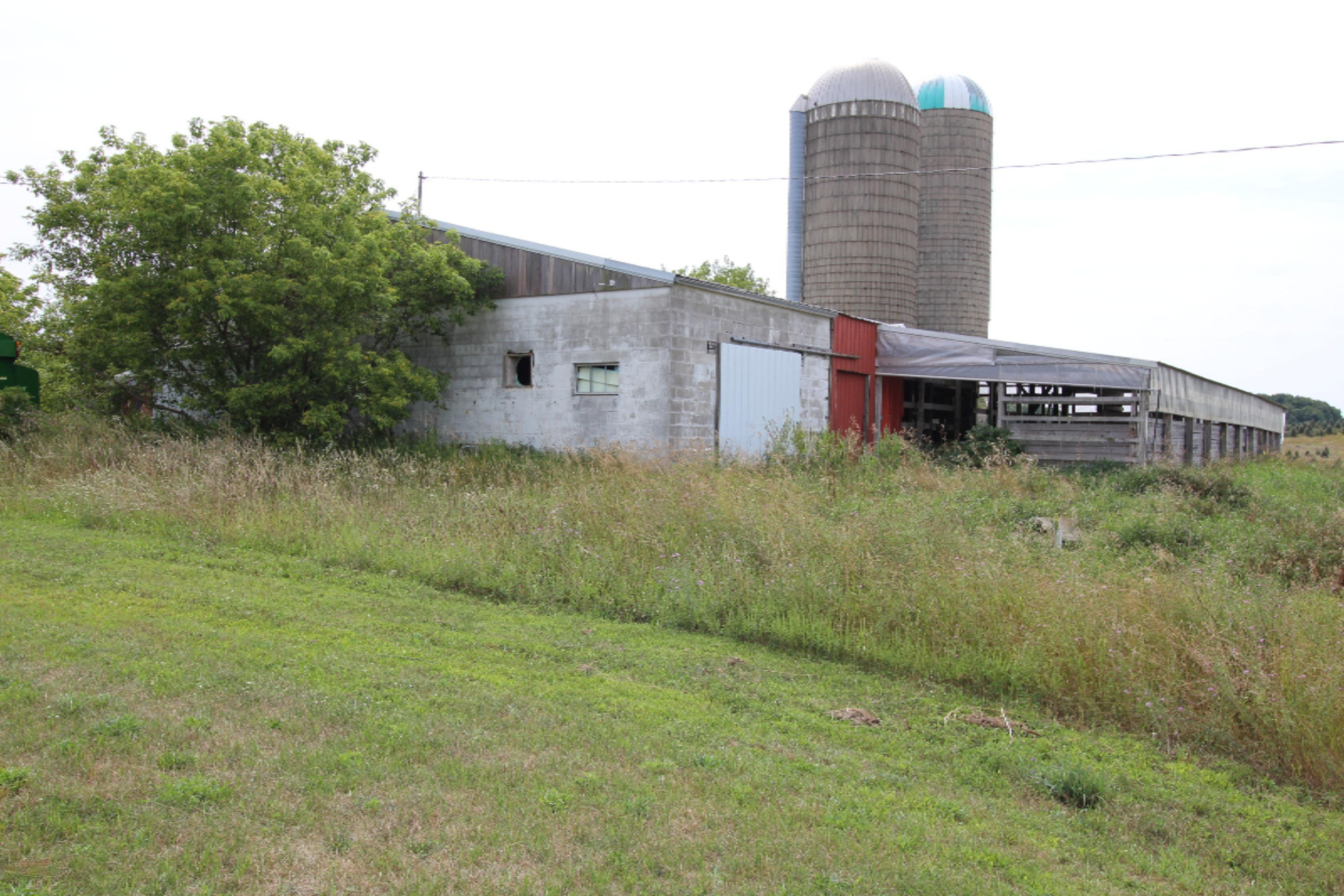 8713 County Line Road Marion, MI 49665 - Photo 35 of 40 IMG_5603
