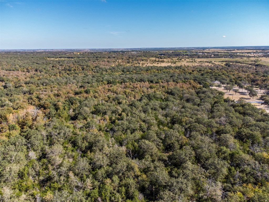 20900 Trappers Trail Manor, TX 78653 - Photo 11 of 13 an aerial view of residential building and trees