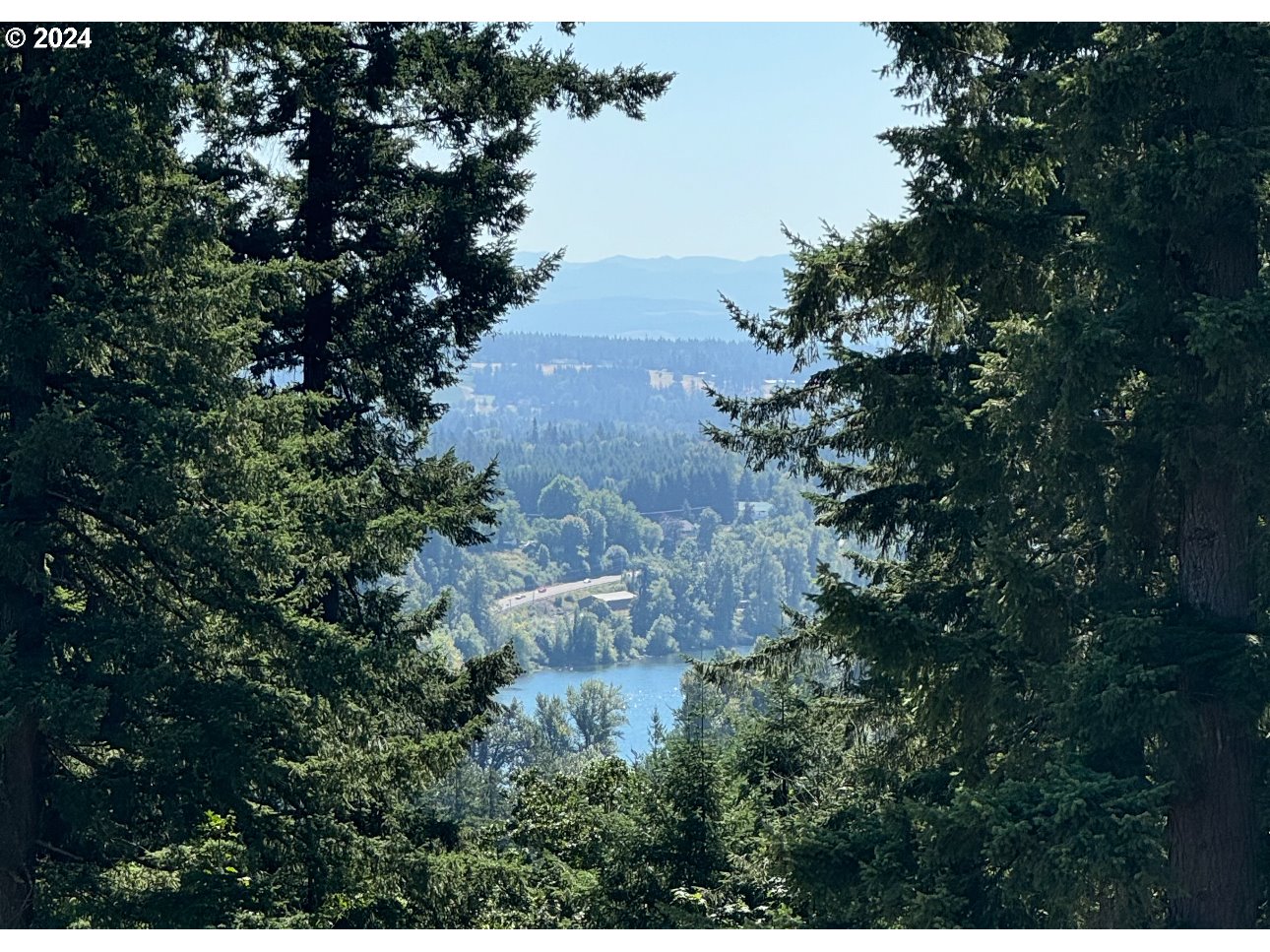 29050 Southwest Petes Mountain Road West Linn, OR 97068 - Photo 12 of 48 a view of a garden