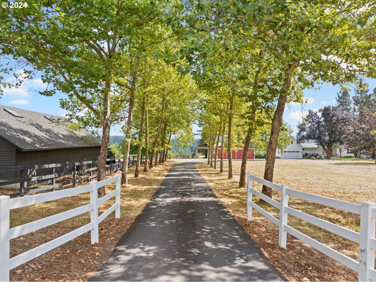 29050 Southwest Petes Mountain Road West Linn, OR 97068 - Photo 2 of 48 a view of a pathway of a house with large trees