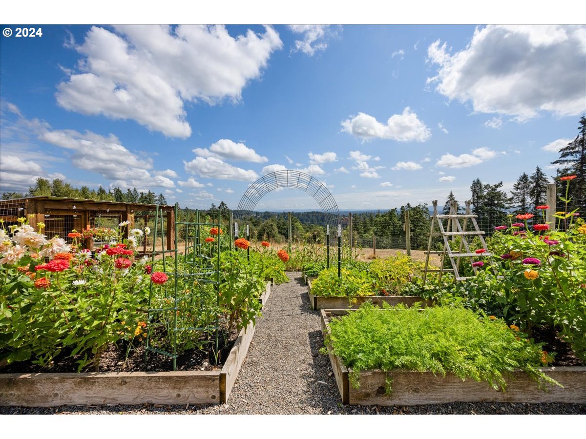 29050 Southwest Petes Mountain Road West Linn, OR 97068 - Photo 42 of 48 a view of a lake with a lot of flower plants and wooden fence