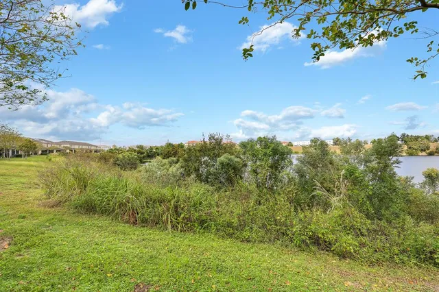 a view of a lake in middle of forest