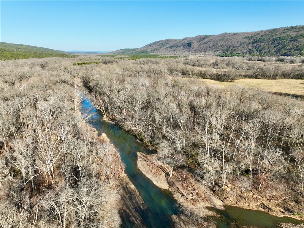 Drone / aerial view of a water and mountain view and a forest