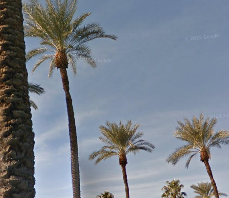 69411 Ramon Road, Unit 1117 Cathedral City, CA 92234 - Photo 2 of 2 IMG_4466