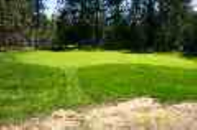 14708 East Eistrup Road Elk, WA 99009 - Photo 5 of 9 Gallery Image 5
