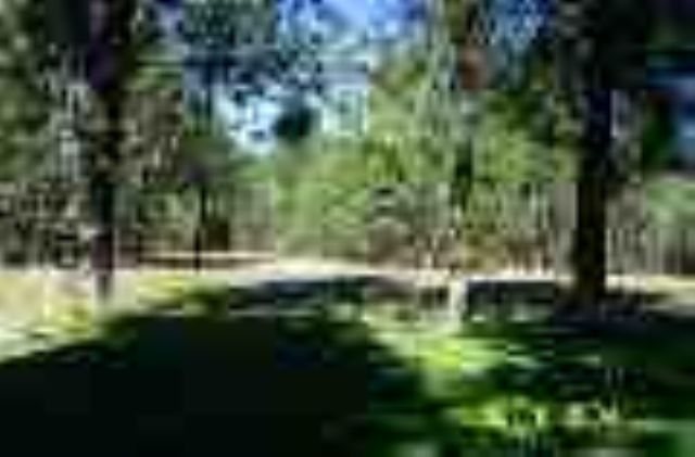 14708 East Eistrup Road Elk, WA 99009 - Photo 7 of 9 Gallery Image 7