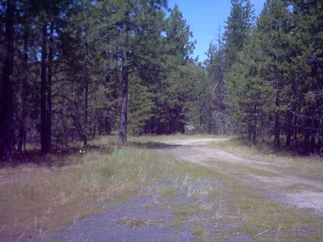 14708 East Eistrup Road Elk, WA 99009 - Photo 8 of 9 Gallery Image 8