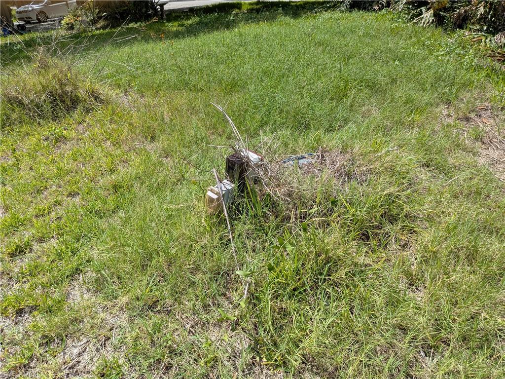 17191 Frank Road Alva, FL 33920 - Photo 7 of 27 a view of a big yard with plants and large trees