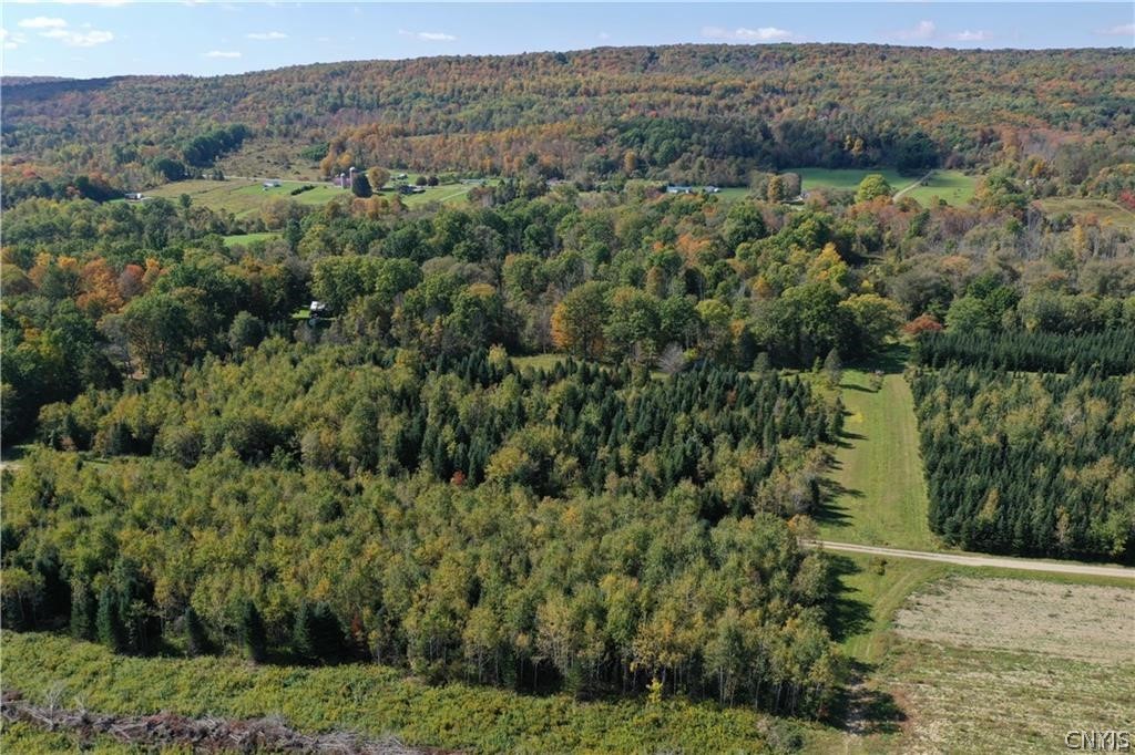 0 Bumpy Bridge Road North Prattsburgh, NY 14873 - Photo 5 of 7