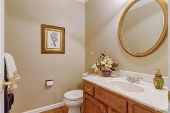 2 Wilson Ridge Court Chesterfield, MO 63005 - Photo 27 of 58 Gallery Image 27