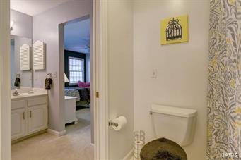 2 Wilson Ridge Court Chesterfield, MO 63005 - Photo 36 of 58 Gallery Image 36