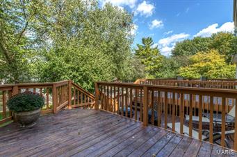 2 Wilson Ridge Court Chesterfield, MO 63005 - Photo 48 of 58 Gallery Image 48