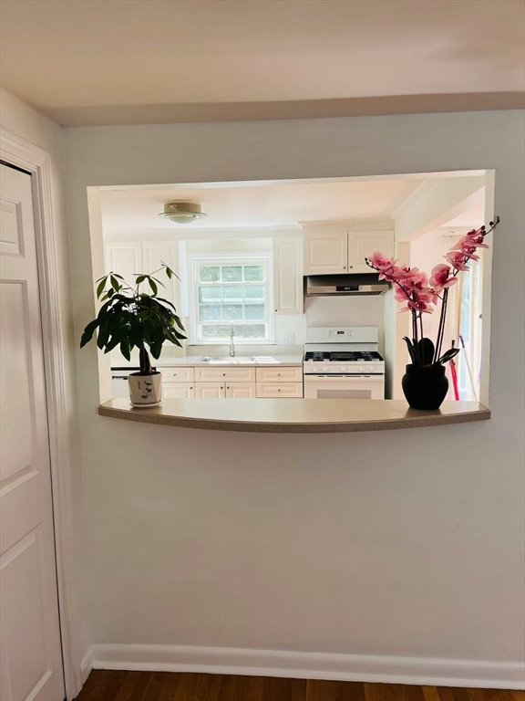 71 Elinor Road Newton, MA 02461 - Photo 11 of 24