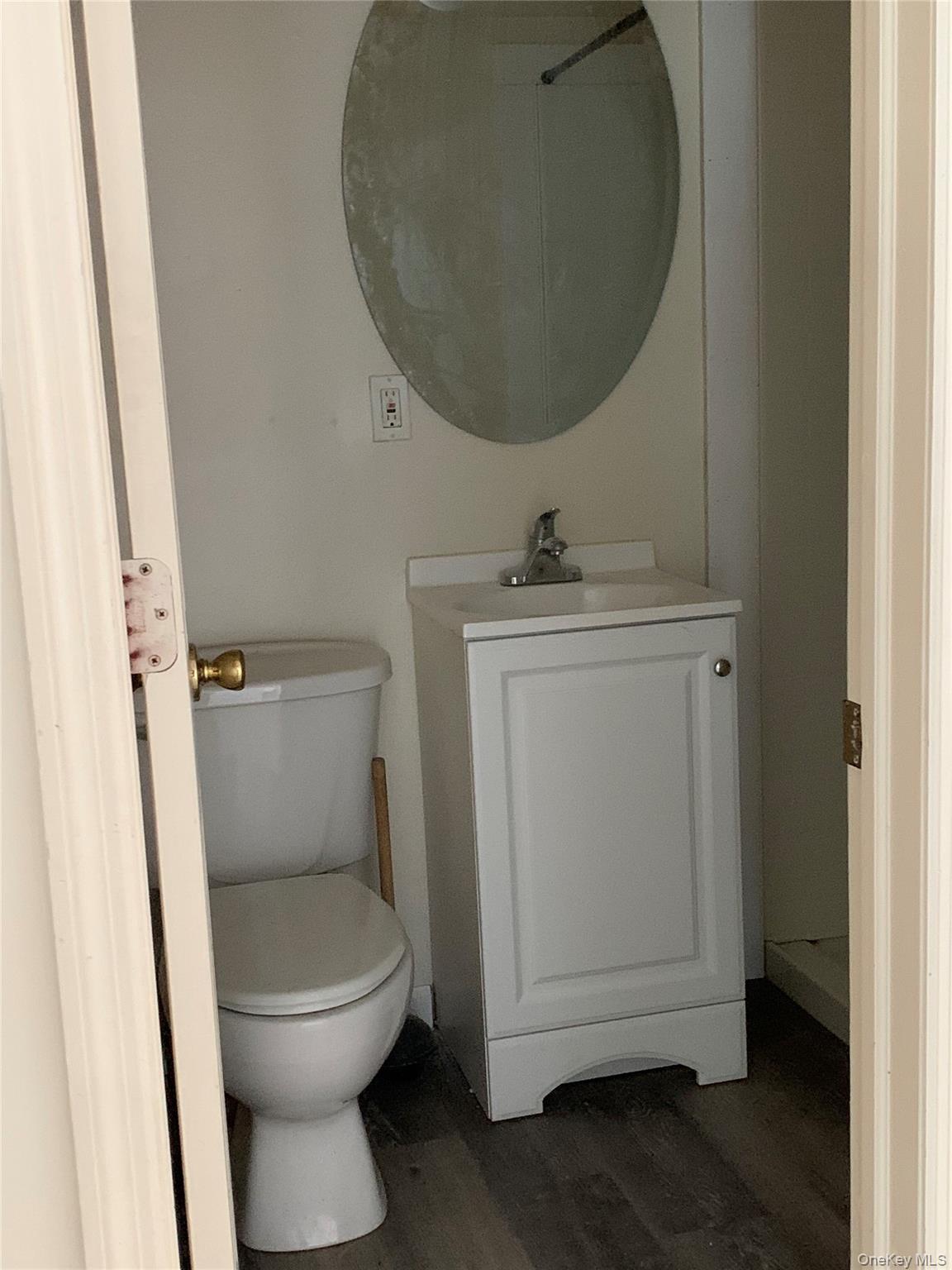 105-107 East Cold Spring Road Monticello, NY 12701 - Photo 5 of 22 Bathroom with vanity and wood finished floors