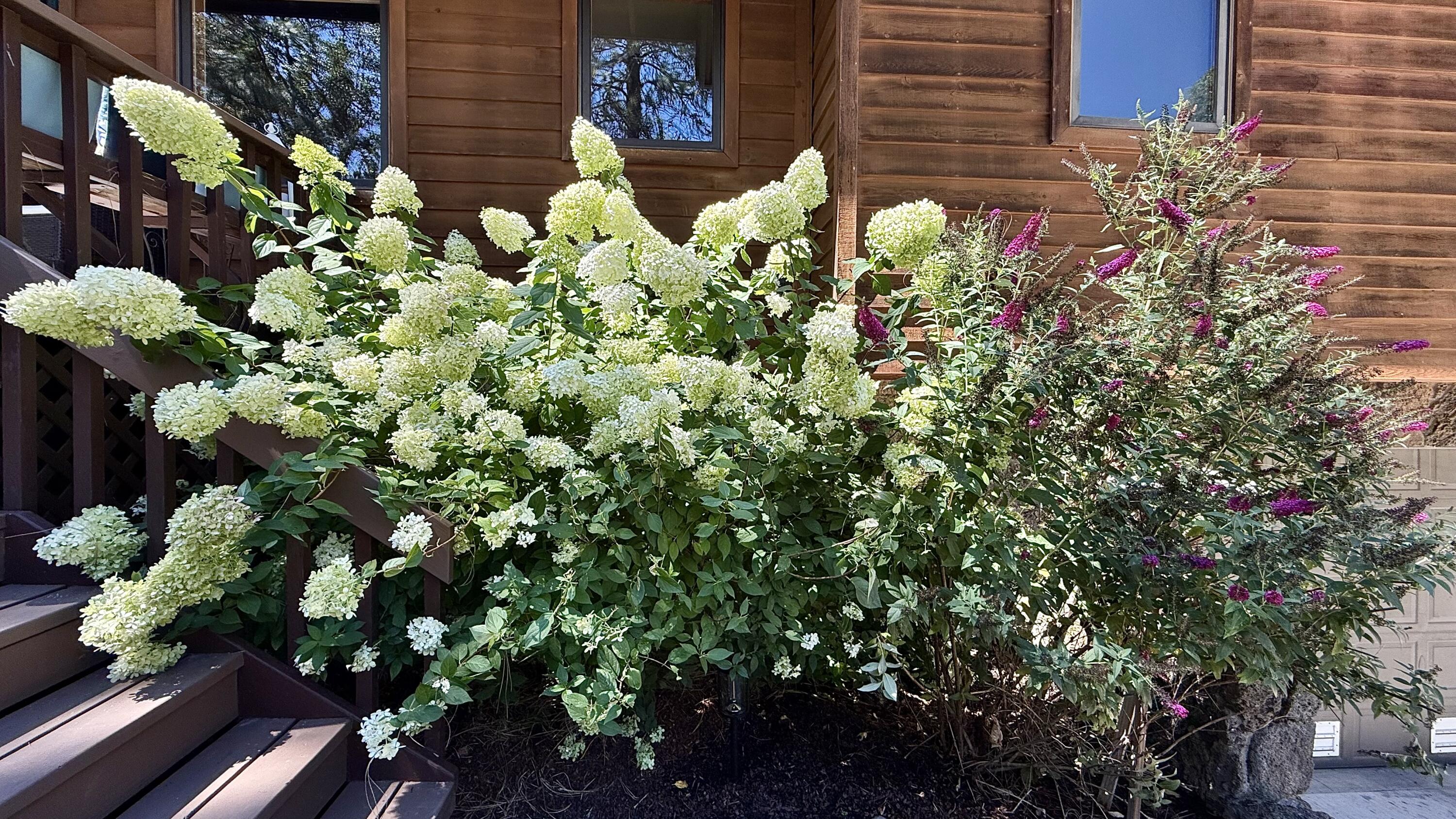 975 Old Ferry Road Shady Cove, OR 97539 - Photo 67 of 100 Beautiful landscaping