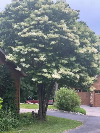 $1,569,000 | 25809 Emerald Drive, Pelican Rapids, MN 56572