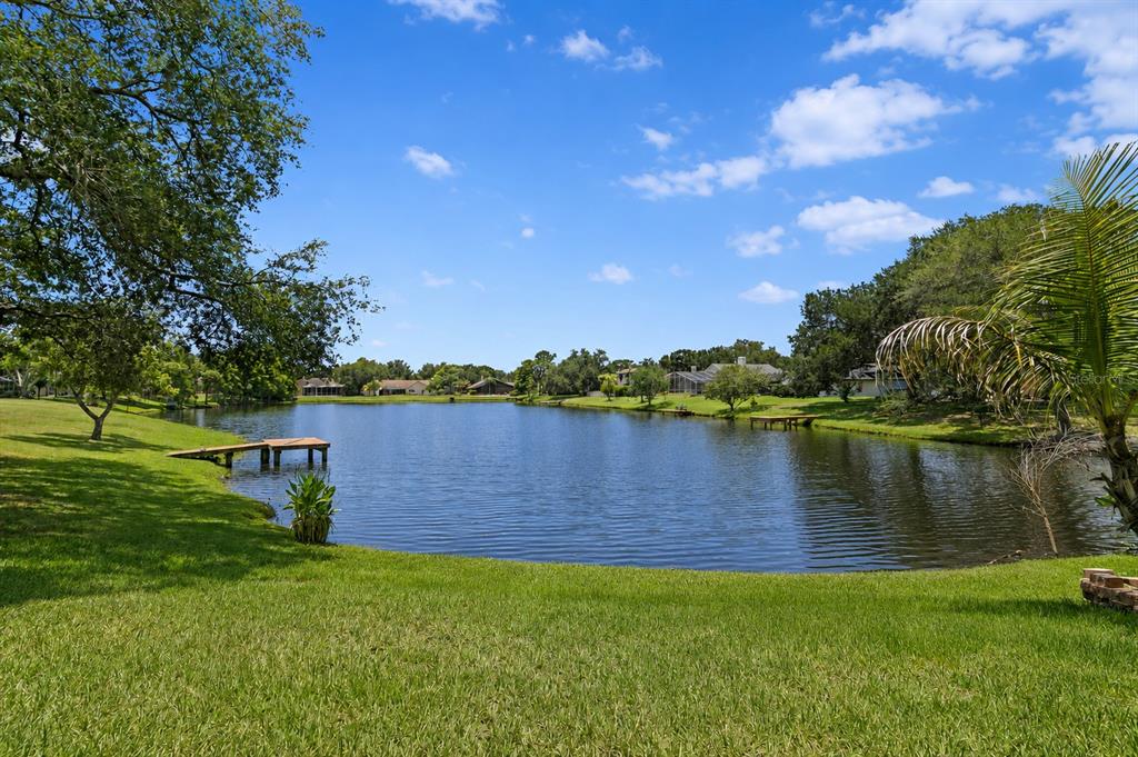 8412 Ridgebrook Circle Odessa, FL 33556 - Photo 60 of 87