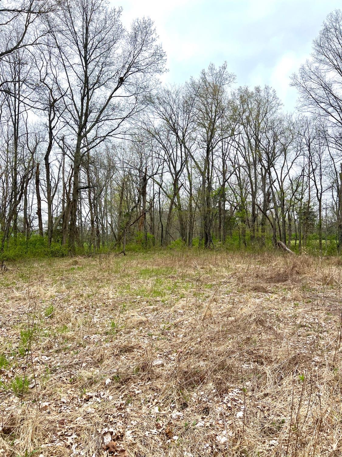8294 Marks Road Georgetown, OH 45121 - Photo 30 of 96