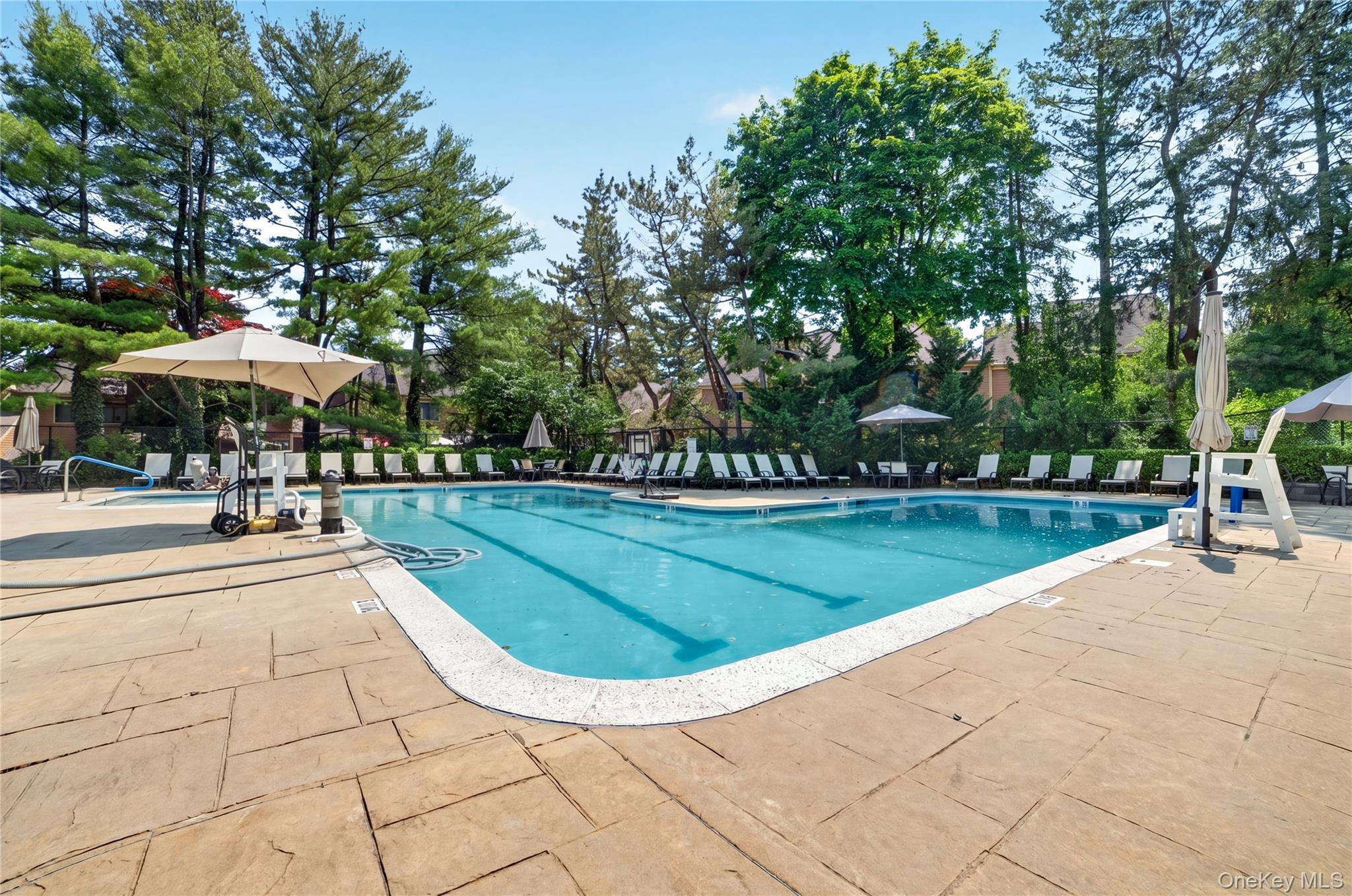 218 Tree Top Crescent Rye Brook, NY 10573 - Photo 29 of 36