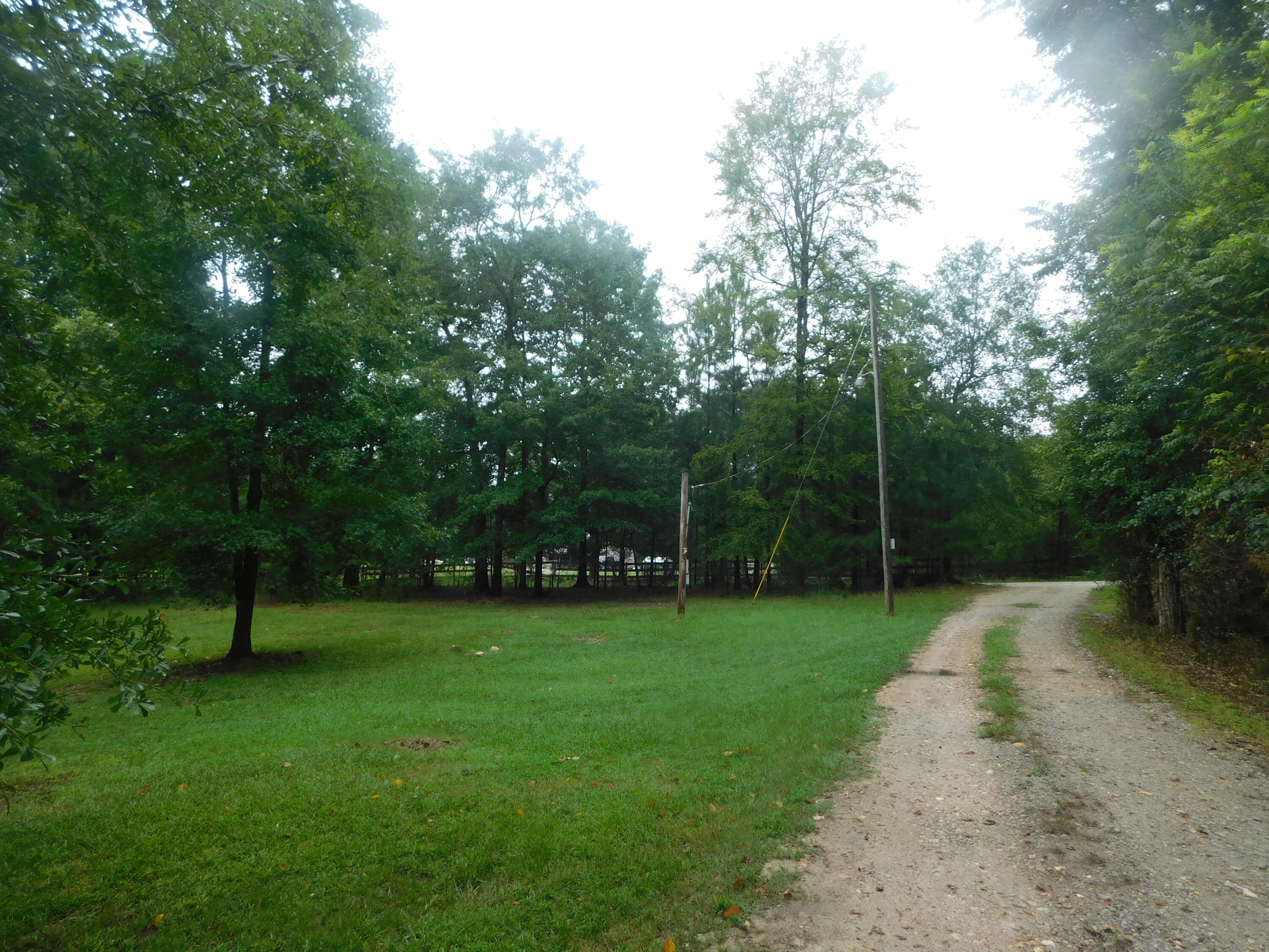 1105 Cedar Road Lincolnton, GA 30817 - Photo 5 of 21 DSCN1007