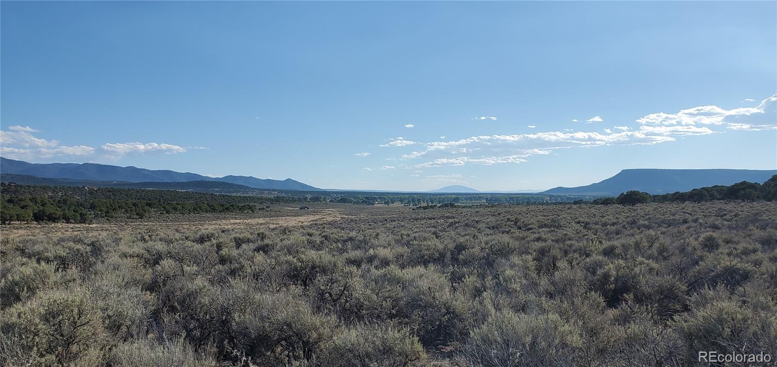 7025 Frelinghuysen Road Fort Garland, CO 81133 - Photo 6 of 19