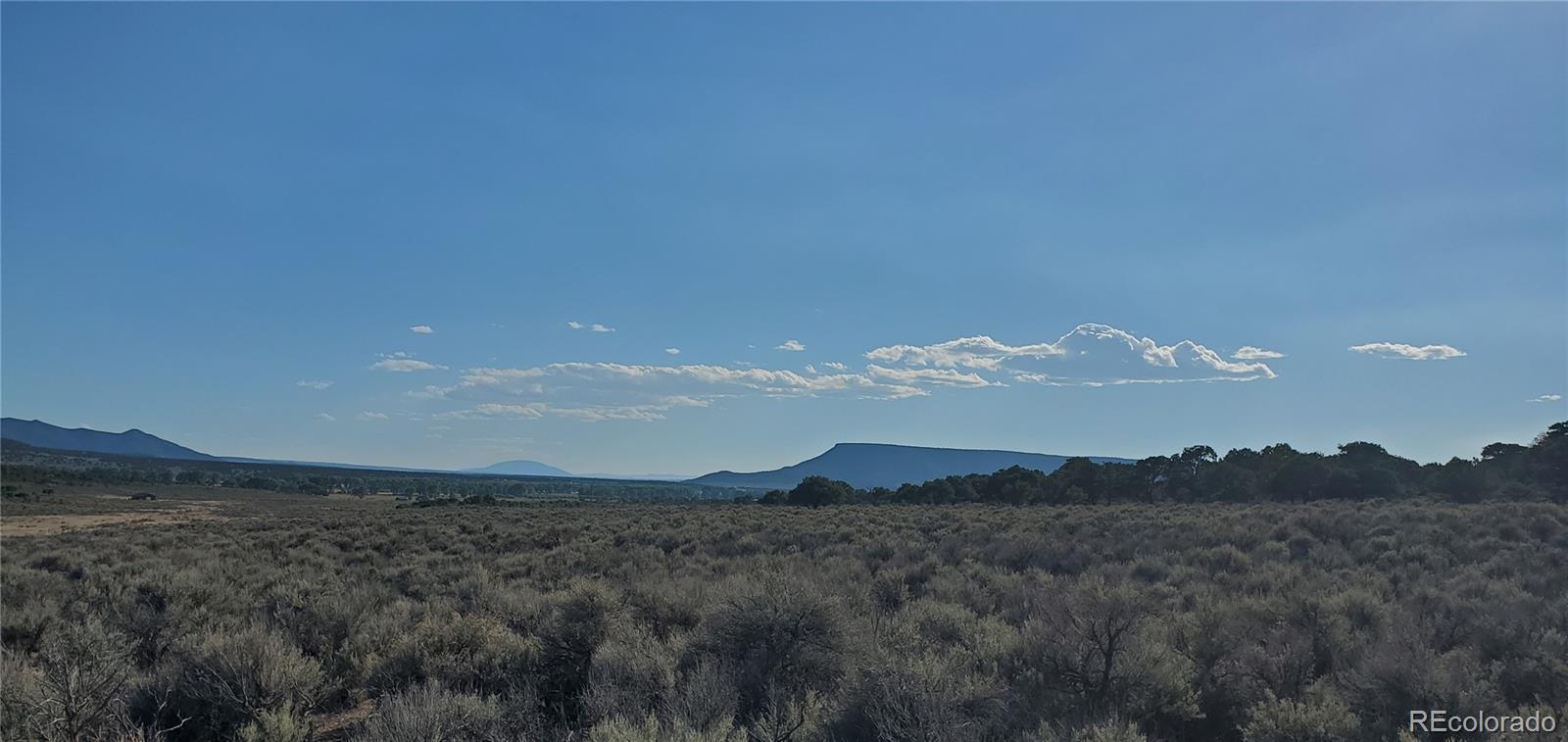 7025 Frelinghuysen Road Fort Garland, CO 81133 - Photo 10 of 19