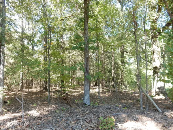 $79,500 | Lot 3 North Crockett Road, Senatobia, MS 38668