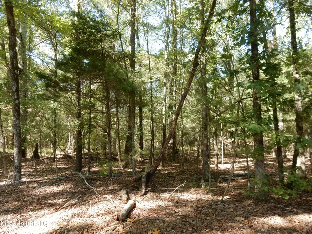$79,500 | Lot 3 North Crockett Road, Senatobia, MS 38668