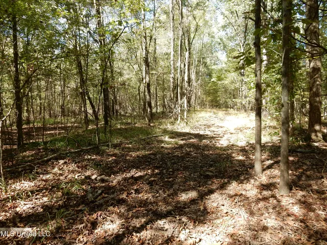 $79,500 | Lot 3 North Crockett Road, Senatobia, MS 38668