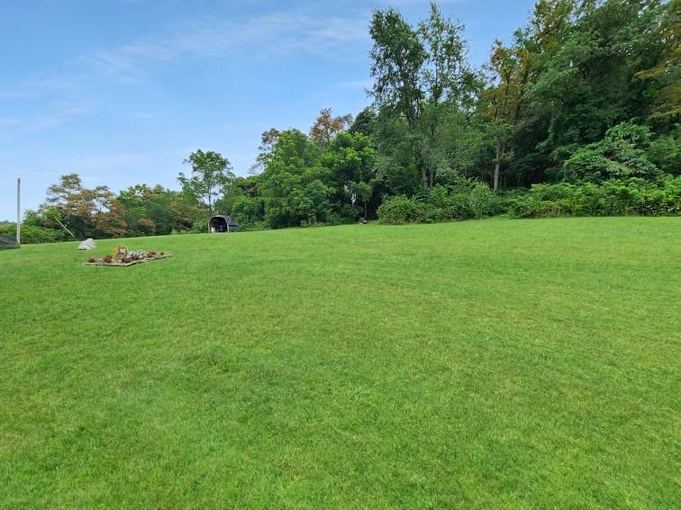 347 Eldersville Road Burgettstown, PA 15021 - Photo 4 of 25 Gallery Image 4