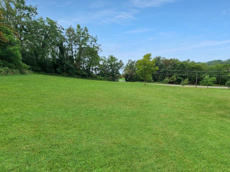 347 Eldersville Road Burgettstown, PA 15021 - Photo 5 of 25 Gallery Image 5
